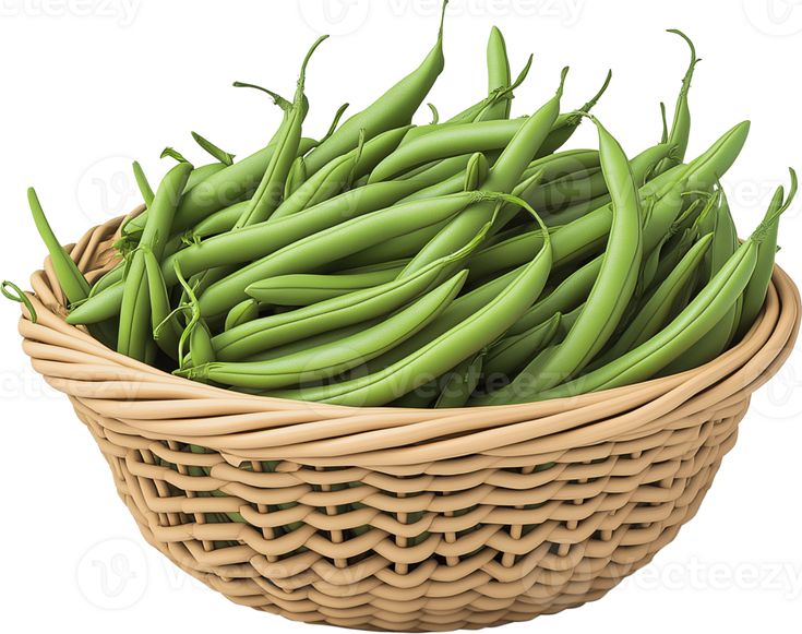 Green Beans